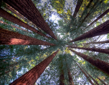 Support for Northwest California