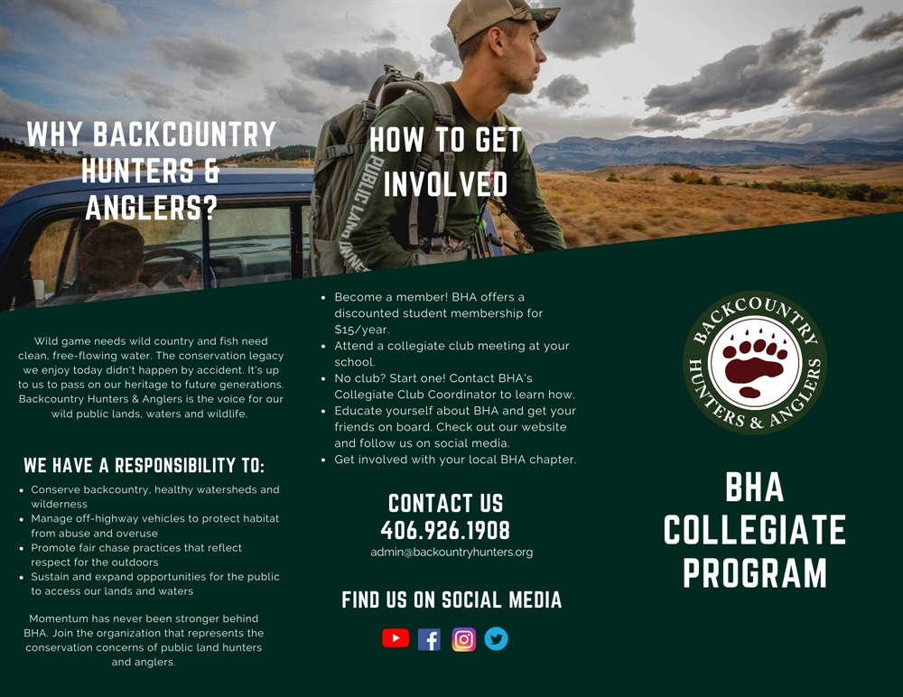 Collegiate Program Brochure