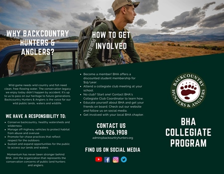Collegiate Program Brochure