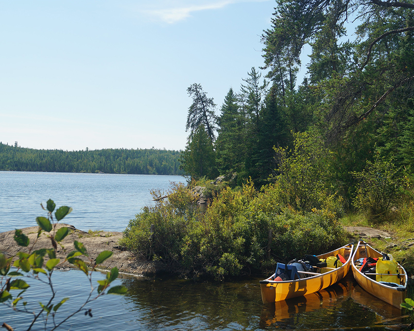 fish and fisheries of the Boundary Waters Canoe Area Wilderness and Voyageurs National Park