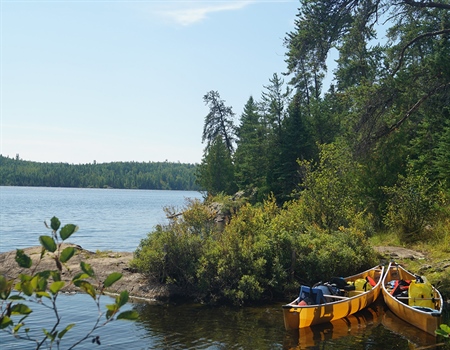 fish and fisheries of the Boundary Waters Canoe Area Wilderness and Voyageurs National Park