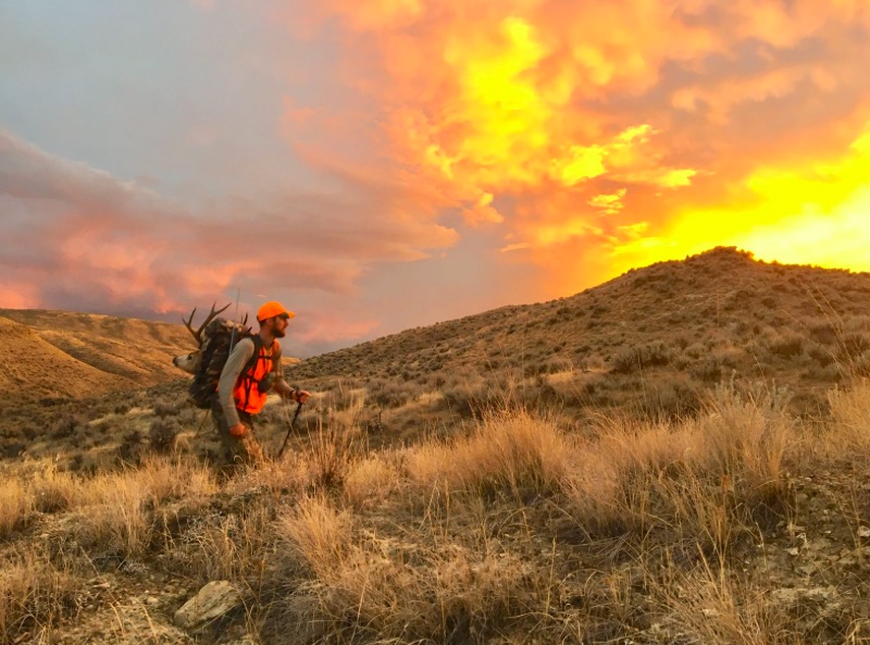 Chapter Policy Roundup - January 2020