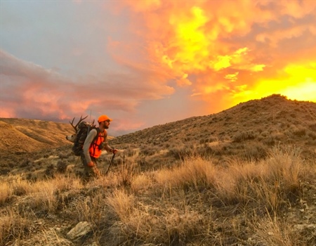 Chapter Policy Roundup - January 2020