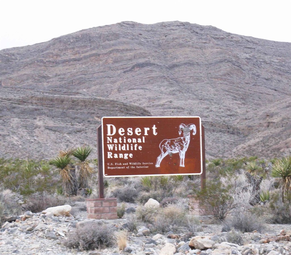 Nevada Chapter's Statement on Sen. Cortez Masto's legislation to protect the DNWR