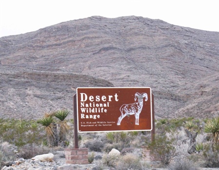 Nevada Chapter's Statement on Sen. Cortez Masto's legislation to protect the DNWR
