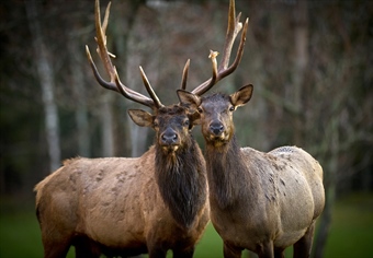 Michigan Adds Over 2000 New Acres of Public land!