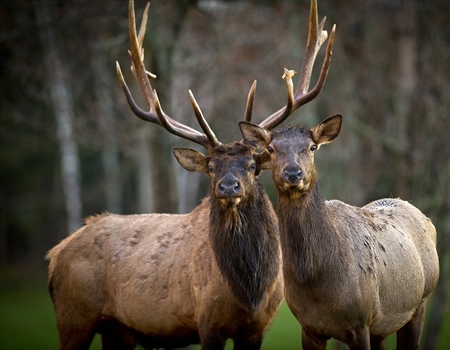 Michigan Adds Over 2000 New Acres of Public land!