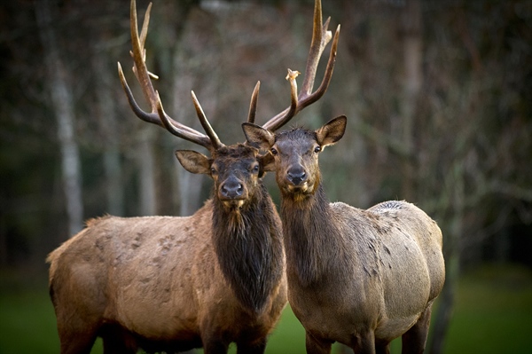 Michigan Adds Over 2000 New Acres of Public land!