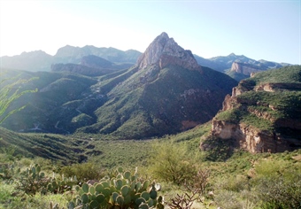 Opinion: AZ BHA Thanks Sen. McSally for Supporting LWCF