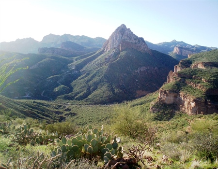 Opinion: AZ BHA Thanks Sen. McSally for Supporting LWCF