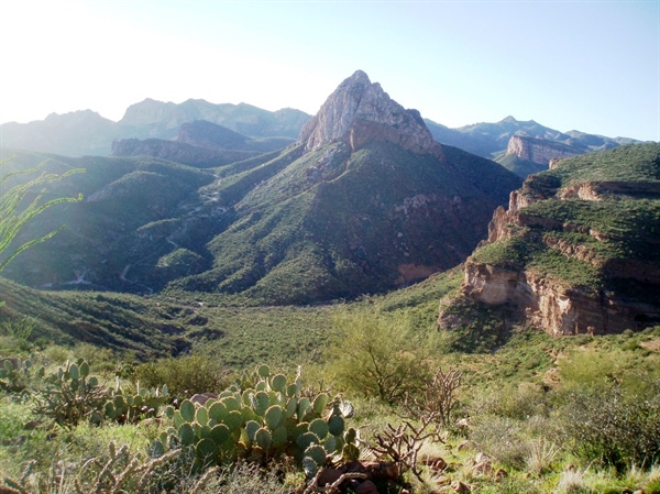 Opinion: AZ BHA Thanks Sen. McSally for Supporting LWCF