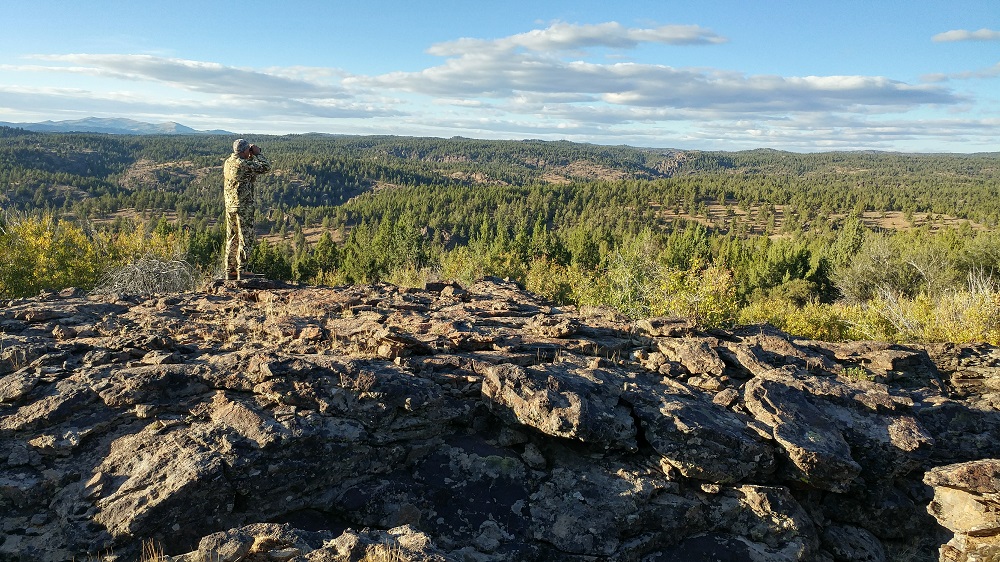 Idaho BHA submits letter to the Air Force urging review of impacts of low-level flights to wildlife and hunters in SW Idaho