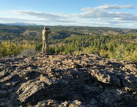 Idaho BHA submits letter to the Air Force urging review of impacts of low-level flights to wildlife and hunters in SW Idaho