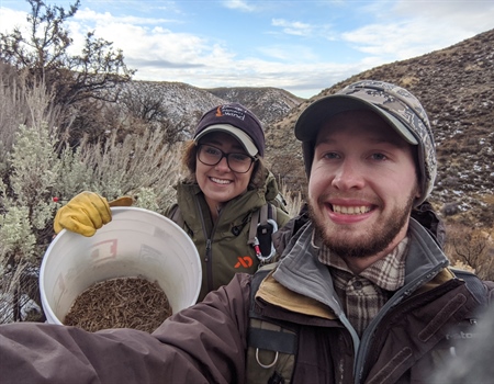 Idaho BHA volunteers collect sagebrush seeds to aid wildlife habitat