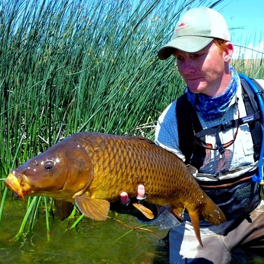 BHA Podcast & Blast, EP. 65: Carp Expert and Public Access Proponent Dan Frasier