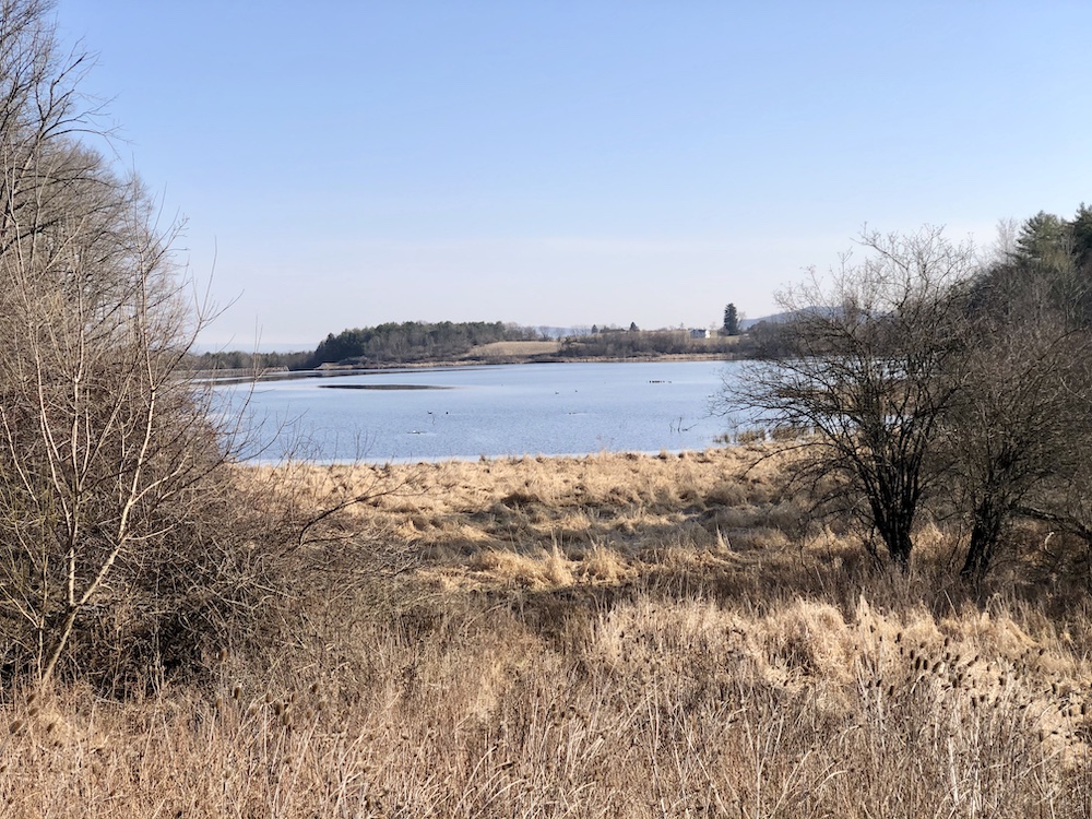 Winter 2020 Pennsylvania Chapter News