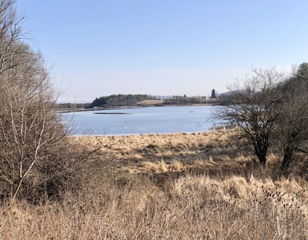 Winter 2020 Pennsylvania Chapter News