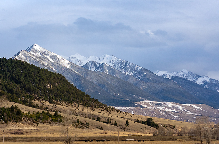 BHA Podcast & Blast, Bonus Episode: Live From The Public Land Owner Pale Ale Release Party and LWCF Rally