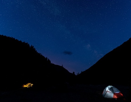 Connecting People with Wild Places