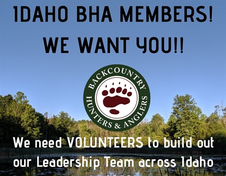 Idaho BHA casts a net for more chapter leaders
