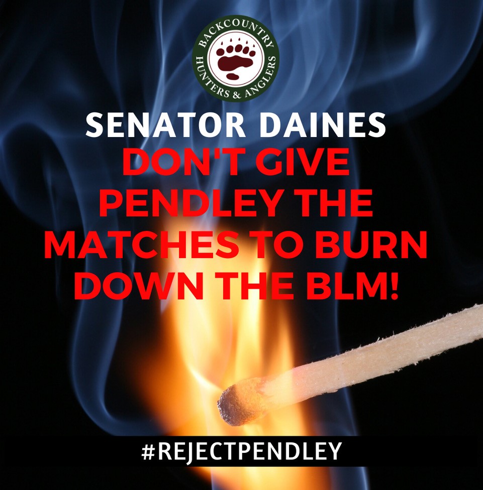 Tell Senator Daines to Reject Pendley