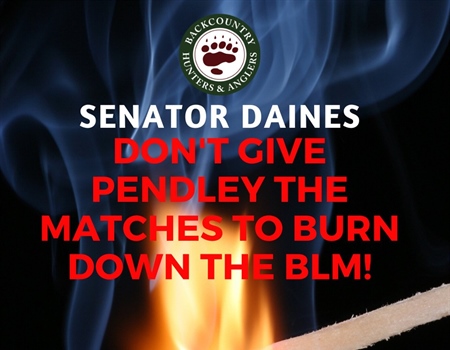 Tell Senator Daines to Reject Pendley