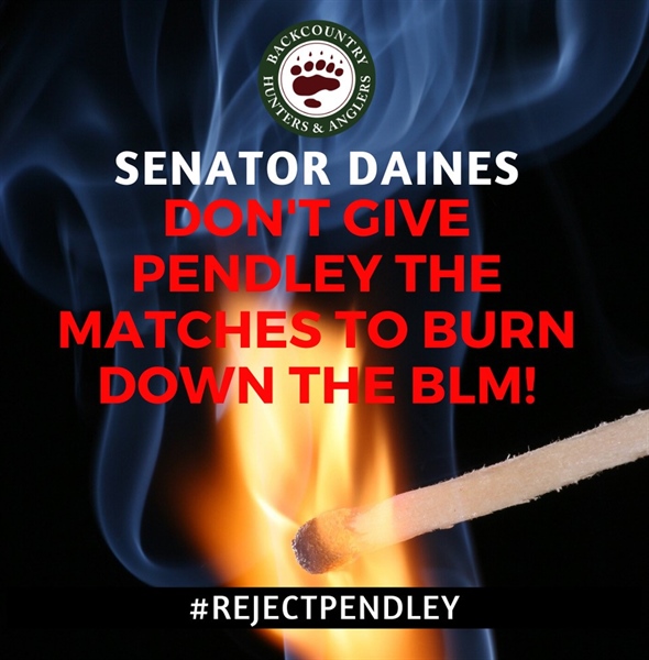 Tell Senator Daines to Reject Pendley