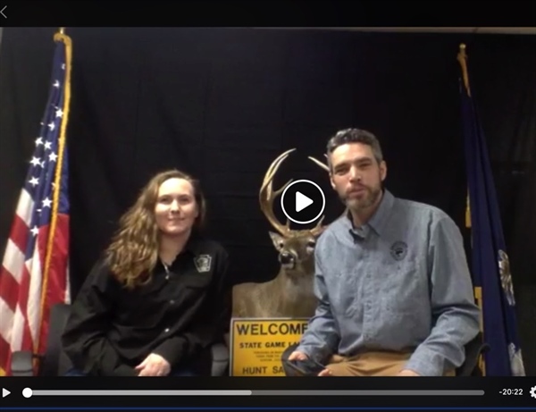 BHA and Game Commission team up for live Q &A on chronic wasting disease