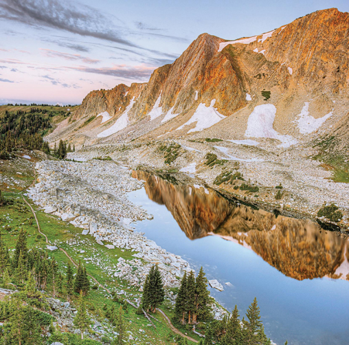 Wyoming Chapter Sees Win in Medicine Bow-Routt NF