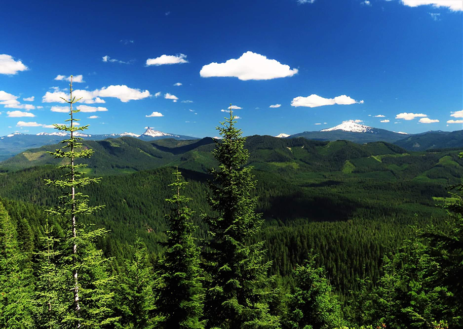 Backcountry Hunters & Anglers Stand With Partners To Support Latest Public Lands Bills