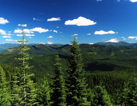 Backcountry Hunters & Anglers Stand With Partners To Support Latest Public Lands Bills