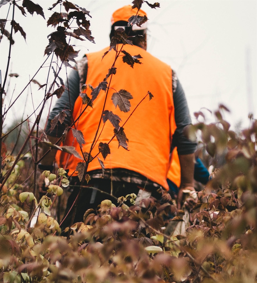 Make a Call to Repeal Sunday Hunting Ban