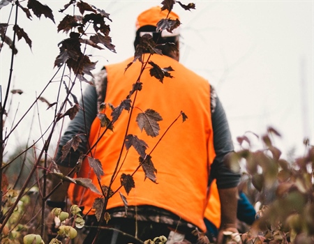 Make a Call to Repeal Sunday Hunting Ban