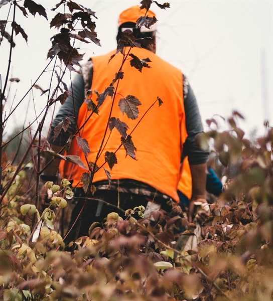 Make a Call to Repeal Sunday Hunting Ban