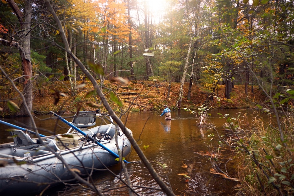 Michigan Escape