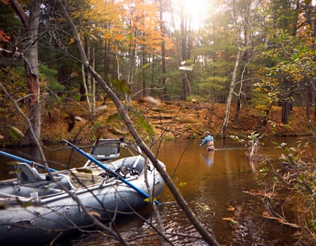 Michigan Escape