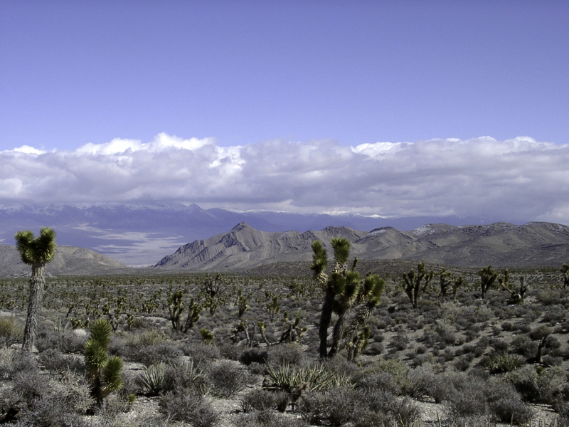 Nevada Chapter submits letter to Clark County