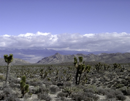 Nevada Chapter submits letter to Clark County