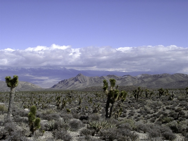 Nevada Chapter submits letter to Clark County