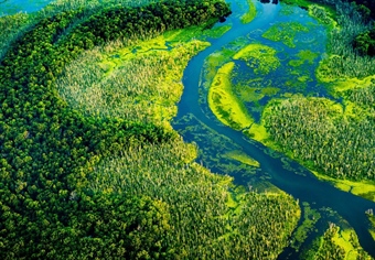 Eastern Chapters unite behind bill to support Chesapeake Bay restoration
