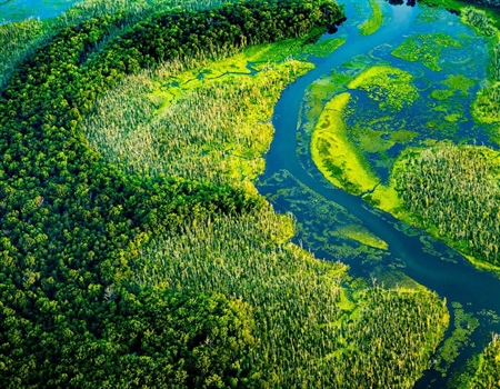 Eastern Chapters unite behind bill to support Chesapeake Bay restoration