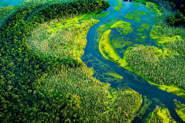 Eastern Chapters unite behind bill to support Chesapeake Bay restoration