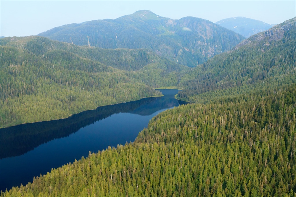 Alaska Roadless Habitat Opened to Logging, Development