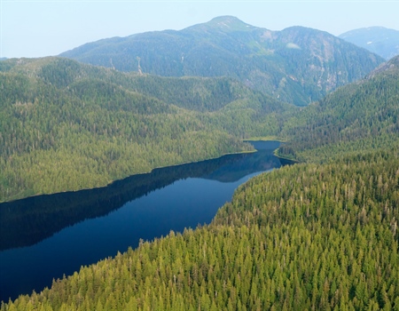 Alaska Roadless Habitat Opened to Logging, Development