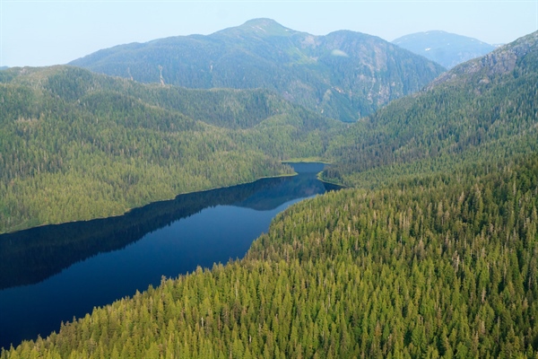 Alaska Roadless Habitat Opened to Logging, Development