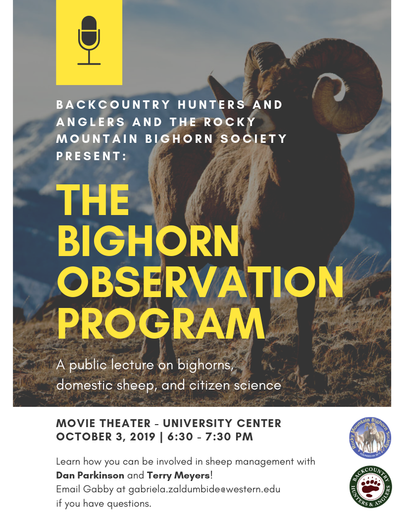 Gunnison Hosts Bighorn Observation Program Lecture