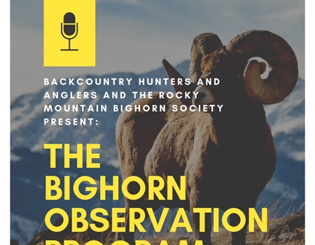 Gunnison Hosts Bighorn Observation Program Lecture
