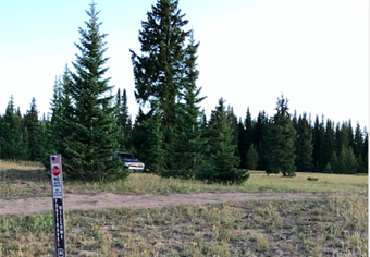 CO BHA Member Reports Illegal OHV Use