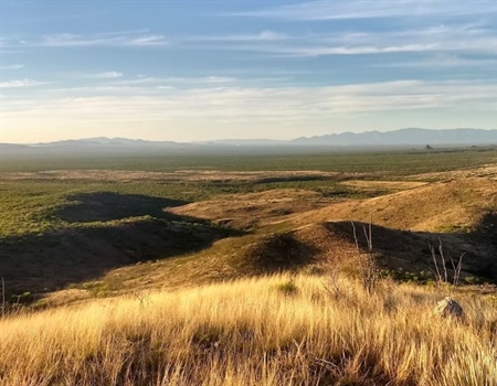 OHV Signage Protects Santa Rita Experimental Range