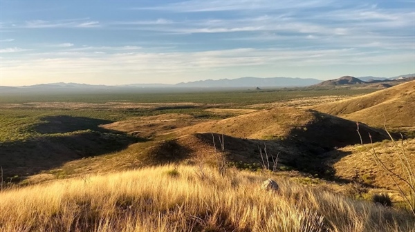 OHV Signage Protects Santa Rita Experimental Range